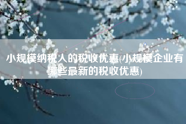 小规模纳税人的税收优惠(小规模企业有哪些最新的税收优惠)