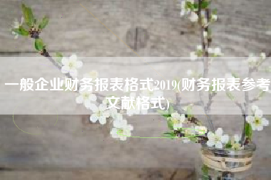 一般企业财务报表格式2019(财务报表参考文献格式)