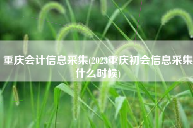 重庆会计信息采集(2023重庆初会信息采集什么时候)