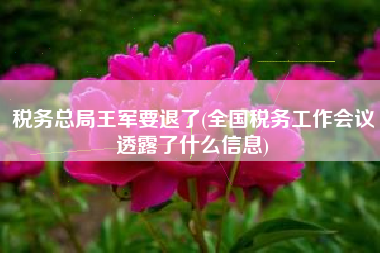 税务总局王军要退了(全国税务工作会议透露了什么信息)