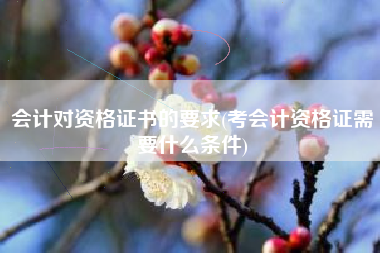 会计对资格证书的要求(考会计资格证需要什么条件)