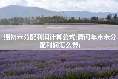 期初未分配利润计算公式(请问年末未分配利润怎么算)