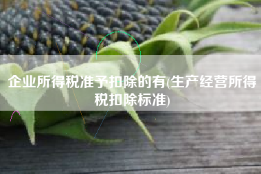 企业所得税准予扣除的有(生产经营所得税扣除标准)