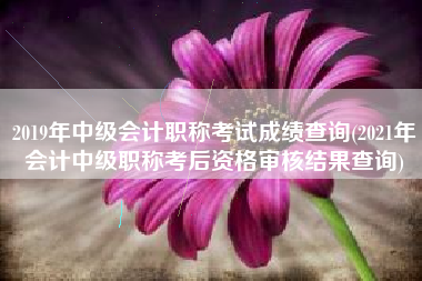 2019年中级会计职称考试成绩查询(2021年会计中级职称考后资格审核结果查询)
