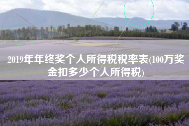 2019年年终奖个人所得税税率表(100万奖金扣多少个人所得税)