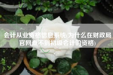 会计从业资格信息系统(为什么在财政局官网查不到初级会计的资格)