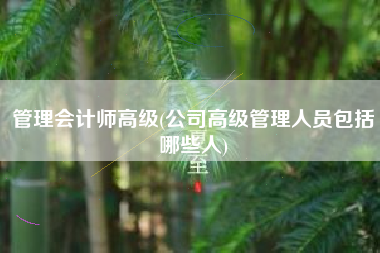 详细阅读:管理会计师高级(公司高级管理人员包括哪些人) 管理会计师高级(公司高级管理人员包括哪些人)