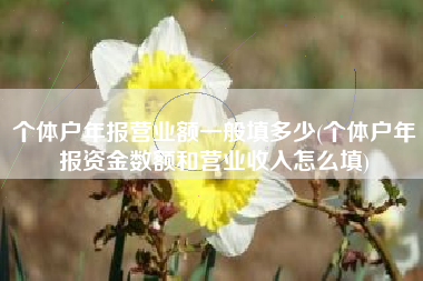 个体户年报营业额一般填多少(个体户年报资金数额和营业收入怎么填)