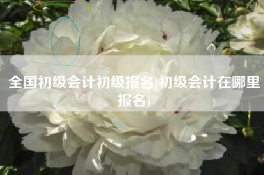 全国初级会计初级报名(初级会计在哪里报名)