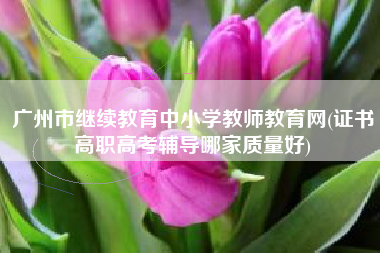 广州市继续教育中小学教师教育网(证书高职高考辅导哪家质量好)