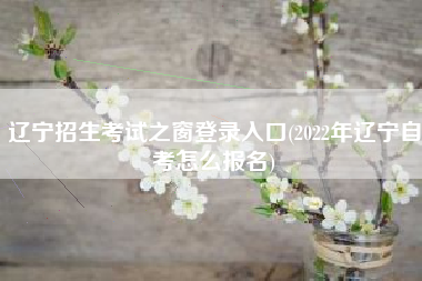 辽宁招生考试之窗登录入口(2022年辽宁自考怎么报名)