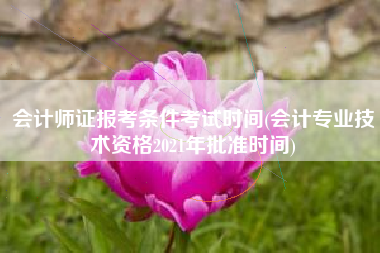 会计师证报考条件考试时间(会计专业技术资格2021年批准时间)