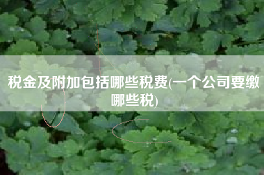 税金及附加包括哪些税费(一个公司要缴哪些税)