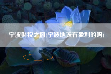宁波财税之窗(宁波地铁有盈利的吗)