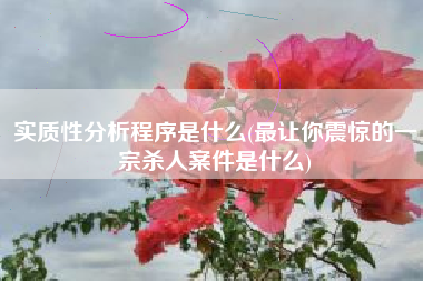 详细阅读:实质性分析程序是什么(最让你震惊的一宗杀人案件是什么) 实质性分析程序是什么(最让你震惊的一宗杀人案件是什么)