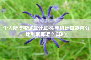 详细阅读:个人所得税试算计算器(手机计算器百分比利润率怎么算的) 个人所得税试算计算器(手机计算器百分比利润率怎么算的)