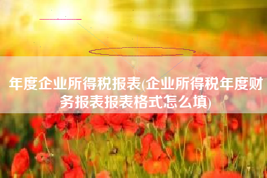 年度企业所得税报表(企业所得税年度财务报表报表格式怎么填)