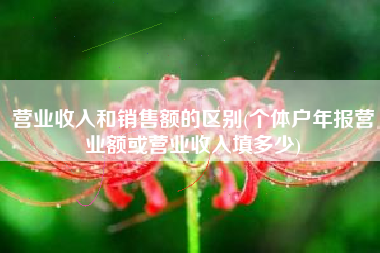 营业收入和销售额的区别(个体户年报营业额或营业收入填多少)