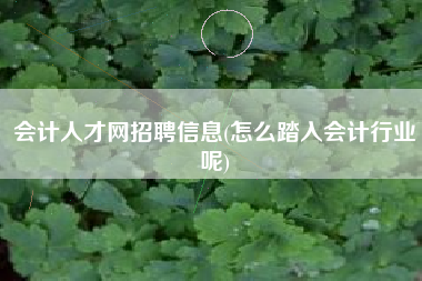 会计人才网招聘信息(怎么踏入会计行业呢)