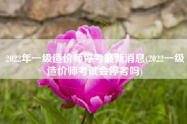 2022年一级造价师停考最新消息(2022一级造价师考试会停考吗)