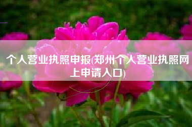 个人营业执照申报(郑州个人营业执照网上申请入口)