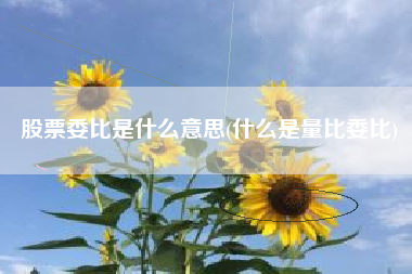 股票委比是什么意思(什么是量比委比)