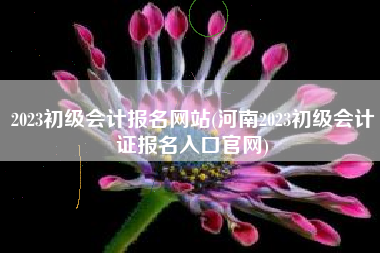 2023初级会计报名网站(河南2023初级会计证报名入口官网)