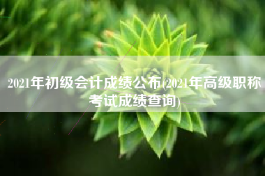 2021年初级会计成绩公布(2021年高级职称考试成绩查询)
