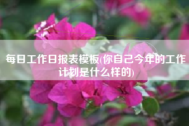 每日工作日报表模板(你自己今年的工作计划是什么样的)