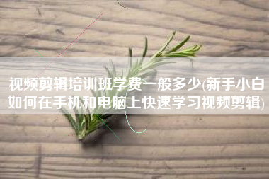 视频剪辑培训班学费一般多少(新手小白如何在手机和电脑上快速学习视频剪辑)