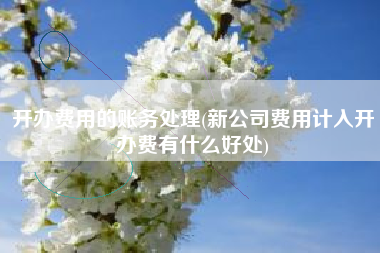 开办费用的账务处理(新公司费用计入开办费有什么好处)