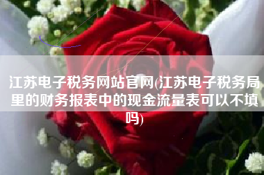 江苏电子税务网站官网(江苏电子税务局里的财务报表中的现金流量表可以不填吗)