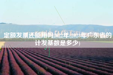 定额发票还能用吗2022年(2023年广东省的计发基数是多少)