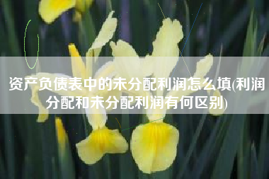 资产负债表中的未分配利润怎么填(利润分配和未分配利润有何区别)