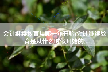 会计继续教育从哪一年开始(会计继续教育是从什么时候开始的)