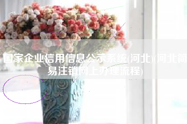 国家企业信用信息公示系统(河北)(河北简易注销网上办理流程)