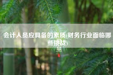 会计人员应具备的素质(财务行业面临哪些挑战)