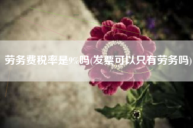 劳务费税率是9%吗(发票可以只有劳务吗)