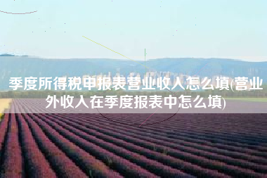 季度所得税申报表营业收入怎么填(营业外收入在季度报表中怎么填)