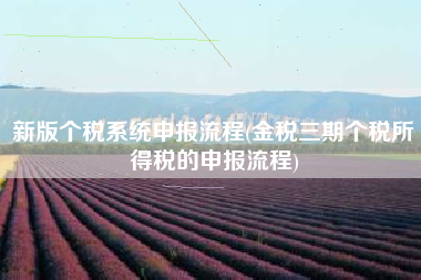 新版个税系统申报流程(金税三期个税所得税的申报流程)