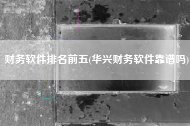 财务软件排名前五(华兴财务软件靠谱吗)