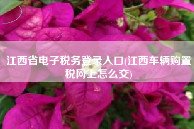 江西省电子税务登录入口(江西车辆购置税网上怎么交)