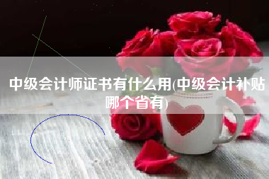 中级会计师证书有什么用(中级会计补贴哪个省有)