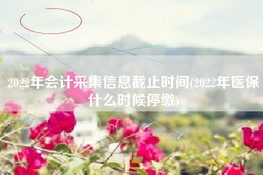 2022年会计采集信息截止时间(2022年医保什么时候停缴)