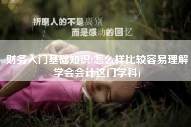 财务入门基础知识(怎么样比较容易理解学会会计这门学科)