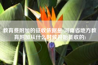 教育费附加的征收依据是(河南省地方教育附加从什么时候开始征收的)