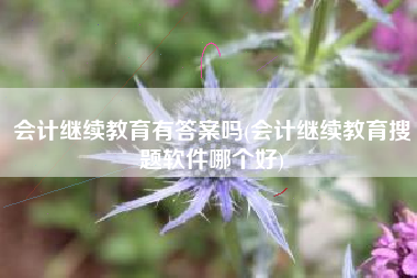 会计继续教育有答案吗(会计继续教育搜题软件哪个好)