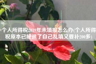 详细阅读:个人所得税2019年未填报怎么办(个人所得税原本已经退了自己乱填又要补200多) 个人所得税2019年未填报怎么办(个人所得税原本已经退了自己乱填又要补200多)