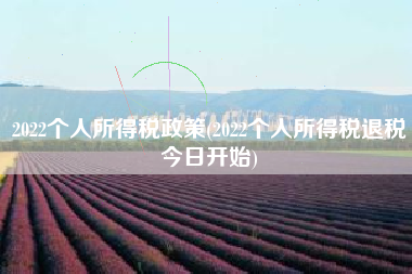 2022个人所得税政策(2022个人所得税退税今日开始)