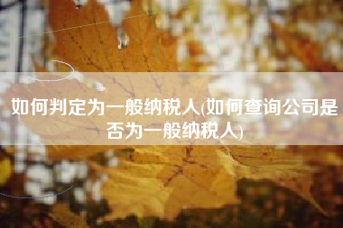 如何判定为一般纳税人(如何查询公司是否为一般纳税人)